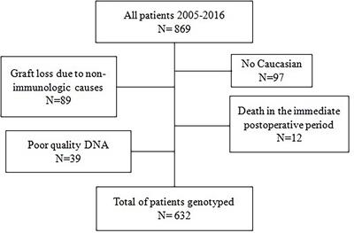 Association of Polymorphisms in T-Cell Activation Costimulatory/Inhibitory Signal Genes With Allograft Kidney Rejection Risk